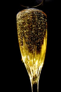 A wonderful way to bring in the New Year or celebrate a major milestone!