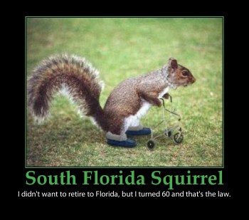 Retired Squirrel