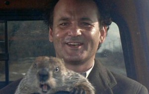 Groundhog