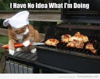 Cat BBQ