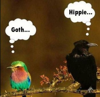 gothandhippiebirds