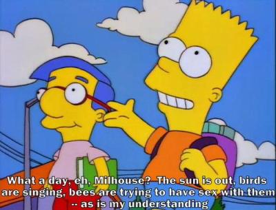 Bart and Milhouse