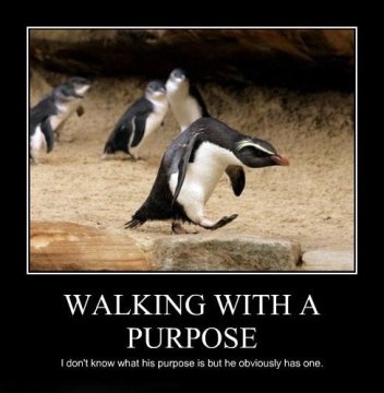 Walking-with-a-purpose