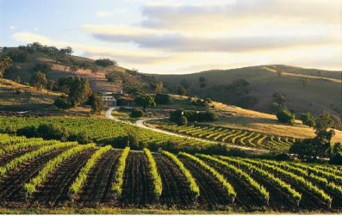 barossa valley