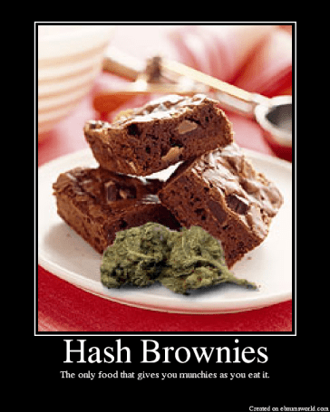 HashBrownies