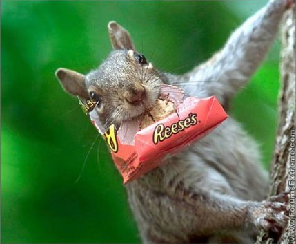 Reese's Peanut Butter Cups