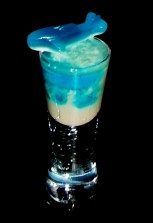 Beneath the Sea Shooter Beneath the Sea Shot