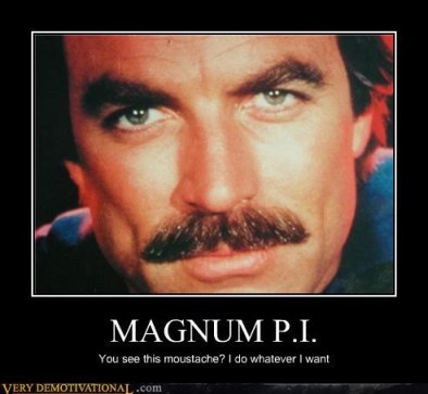 Magnum PI Moustache