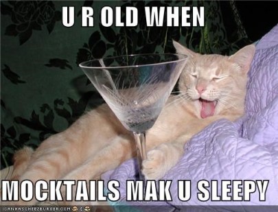 Mocktail Cat