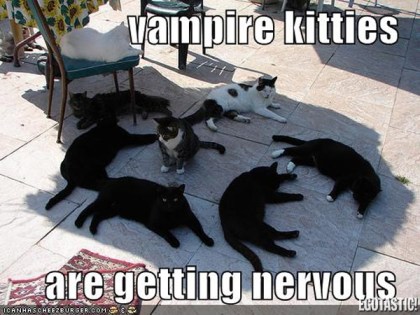 Vampire Kitties