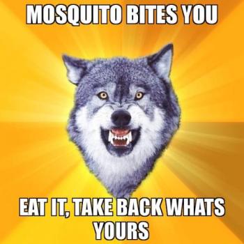 mosquito-bites