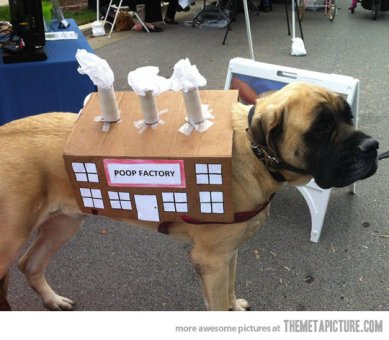 dog-poop factory-costume