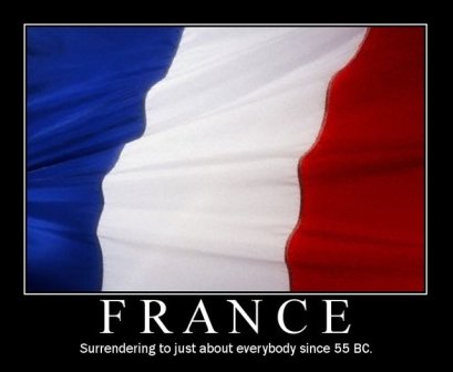 french-funny-flag