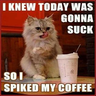 Cat-spiked-his-coffee