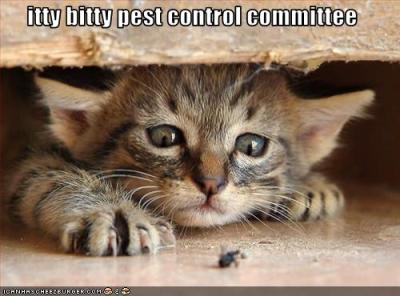 cat_controls_bugs