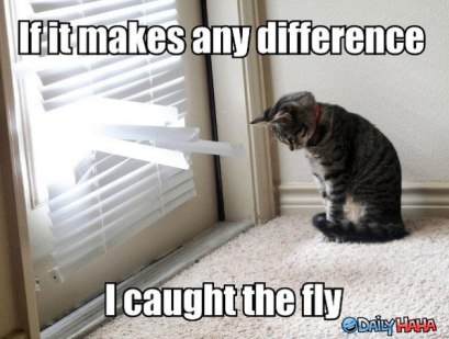 if-it-makes-a-difference