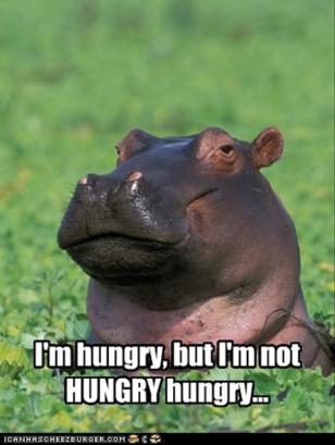 Hungry Hippo