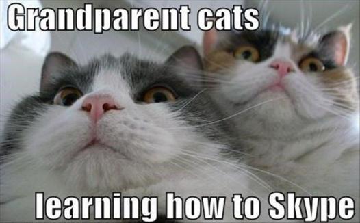 grandparent-cats