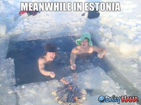 meanwhile-in-estonia