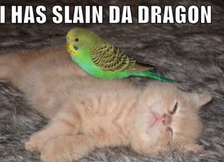 slain da dragon