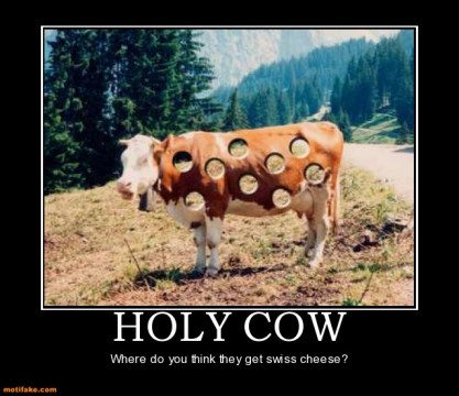 Holy Cow