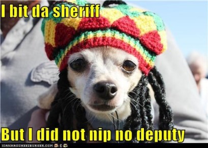 Bit Da Sheriff