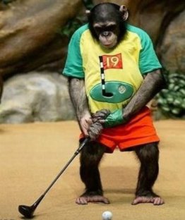 Monkey Golfing