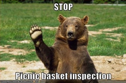 Picnic Basket Inspection