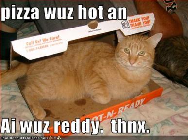 Pizza Cat