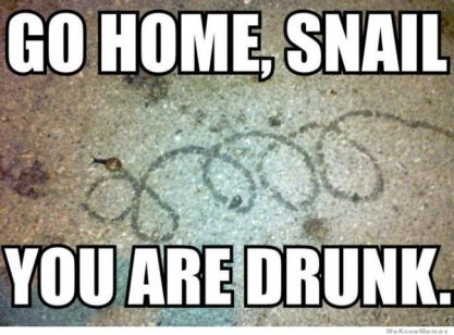 snail-drunk