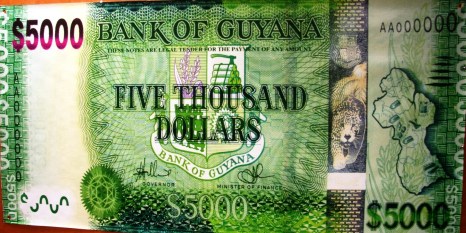 Guyana Money
