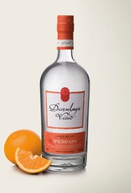 Spiced Gin