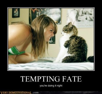 Tempting Fate Kitty