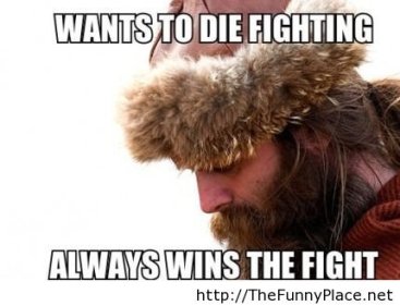 Vikings Fight