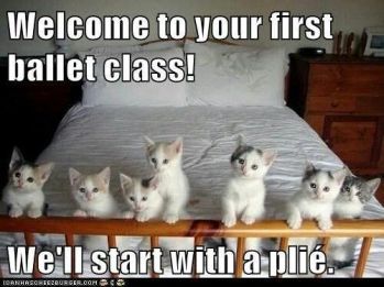 dance class plie