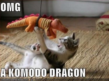 Komodo Kitty