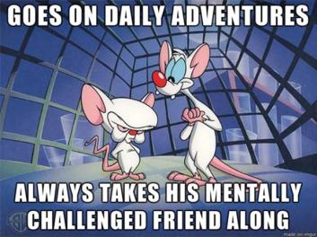 Pinky and the Brain
