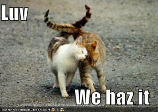 Love-we haz it