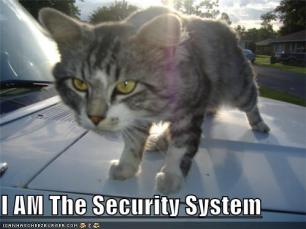 cat security system