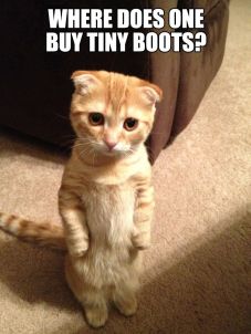 puss in boots