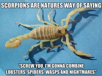 scorpions