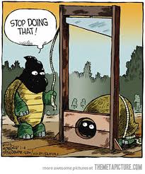 Turtle Guillotine