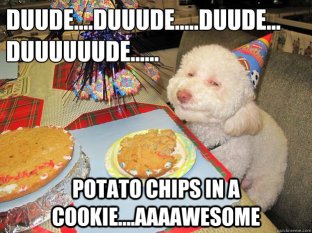 potato chips in cookie