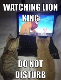 cats watching lion king