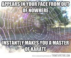 spider webs sticky