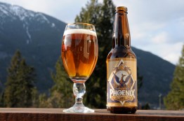 Phillips Phoenix Lager