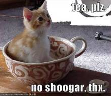 Tea Kitty