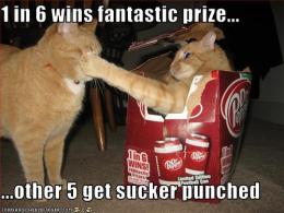 prize or punch