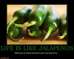 life-is-like-a-jalapeno