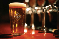 yellow-dog-brewing